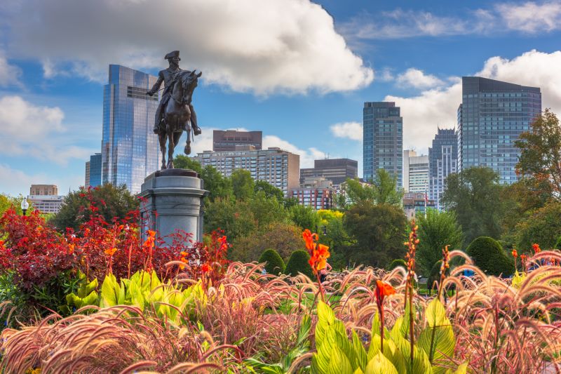 Network Cabling Service in Boston, MA