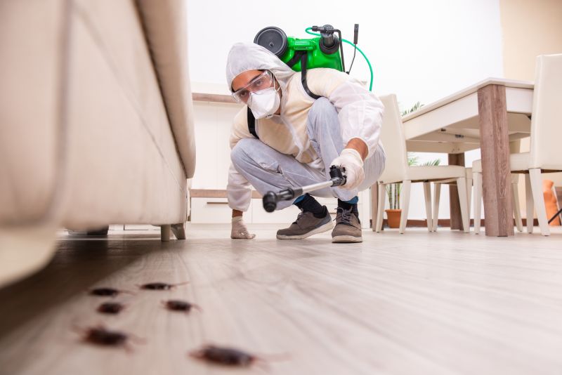 Flea Extermination