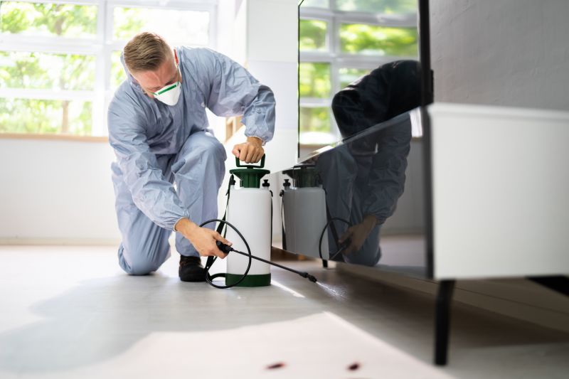 Fly Infestation Extermination