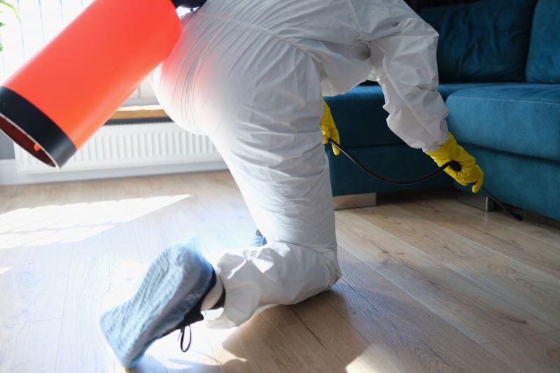 Fly Infestation Extermination